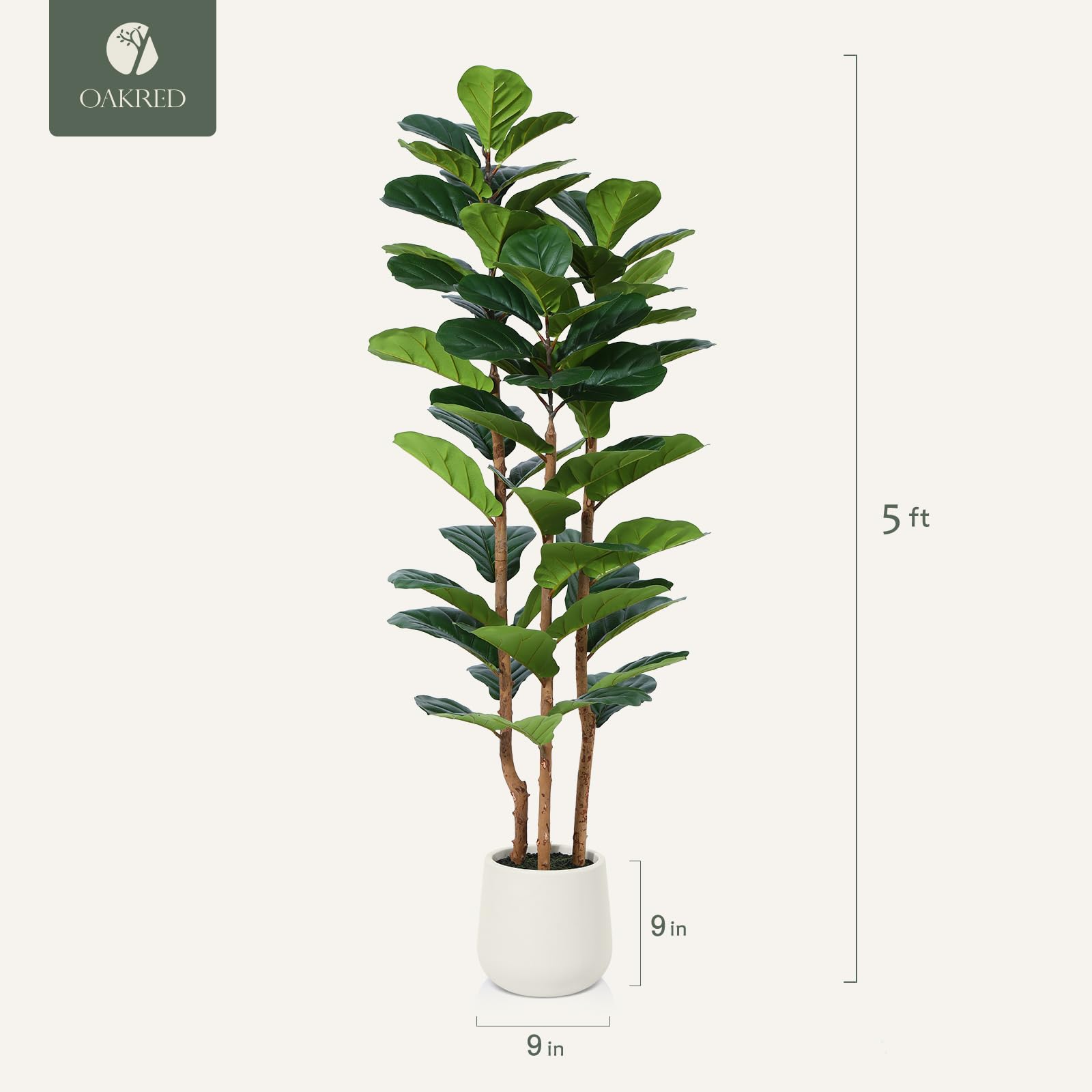 OAKRED Fiddle Leaf Fig Tree With White Planter 5ft Indoor Decor