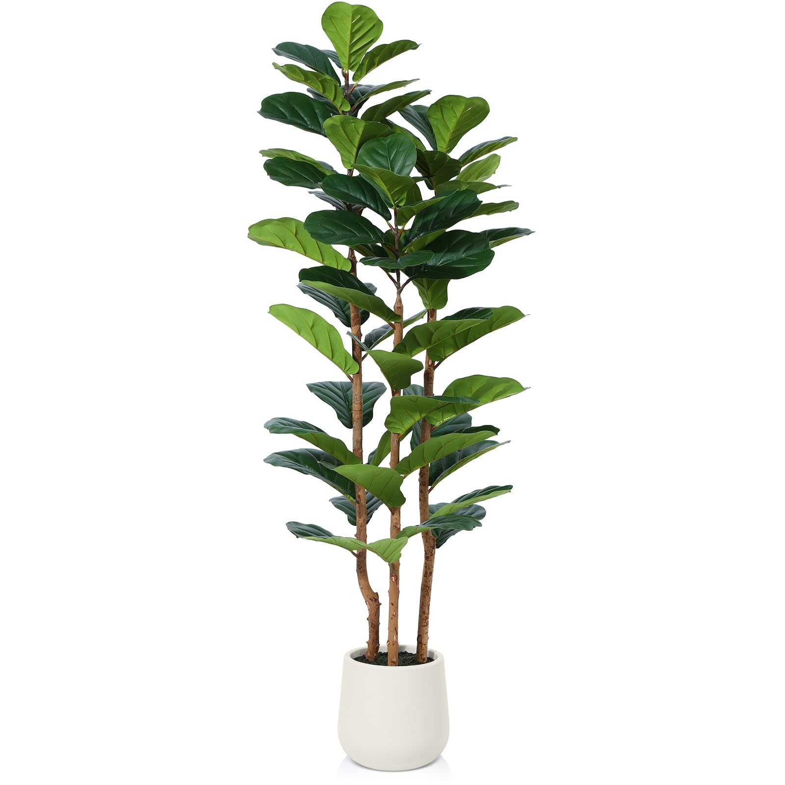 OAKRED Fiddle Leaf Fig Tree With White Planter 5ft Indoor Decor