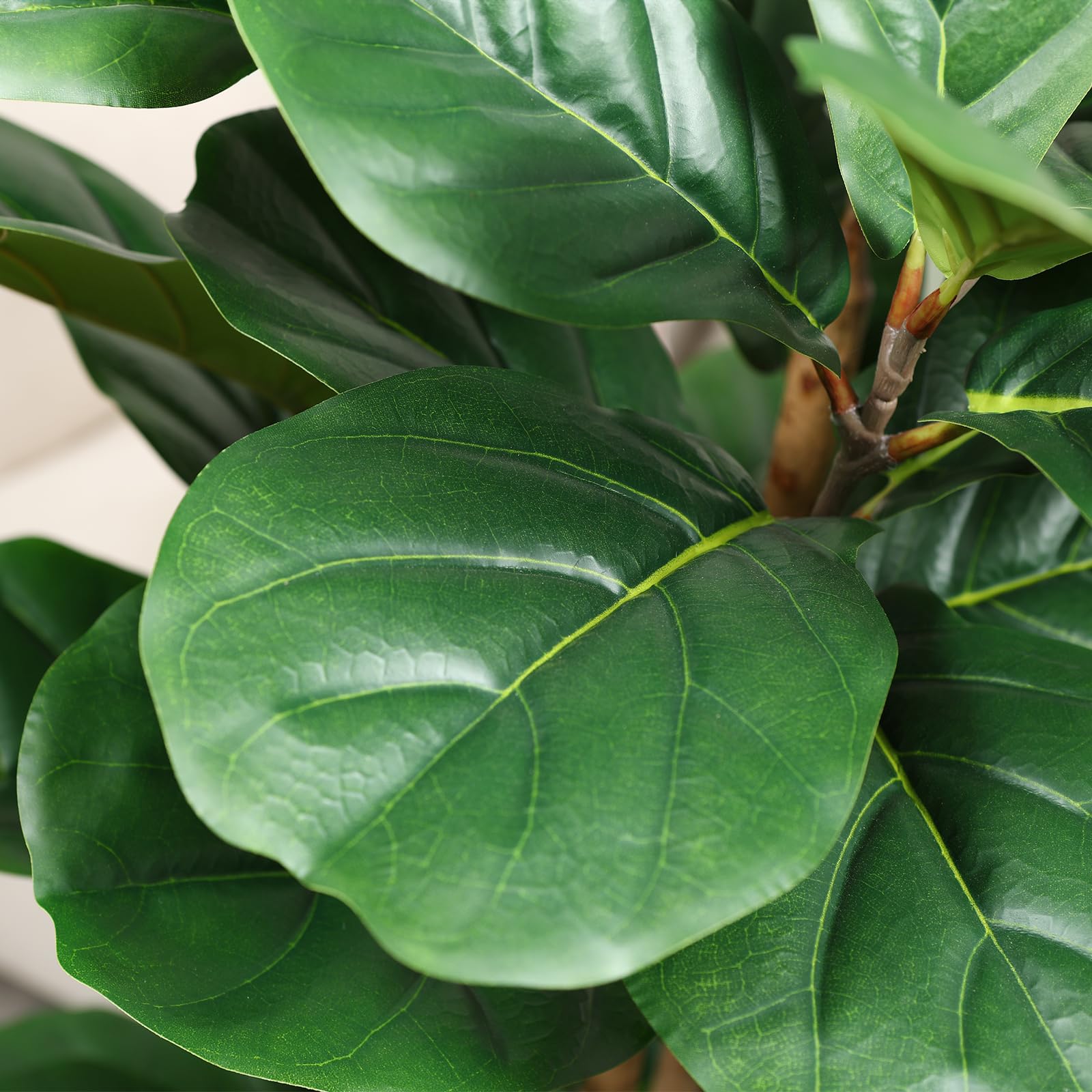 OAKRED Fiddle Leaf Fig Tree With White Planter 5ft Indoor Decor