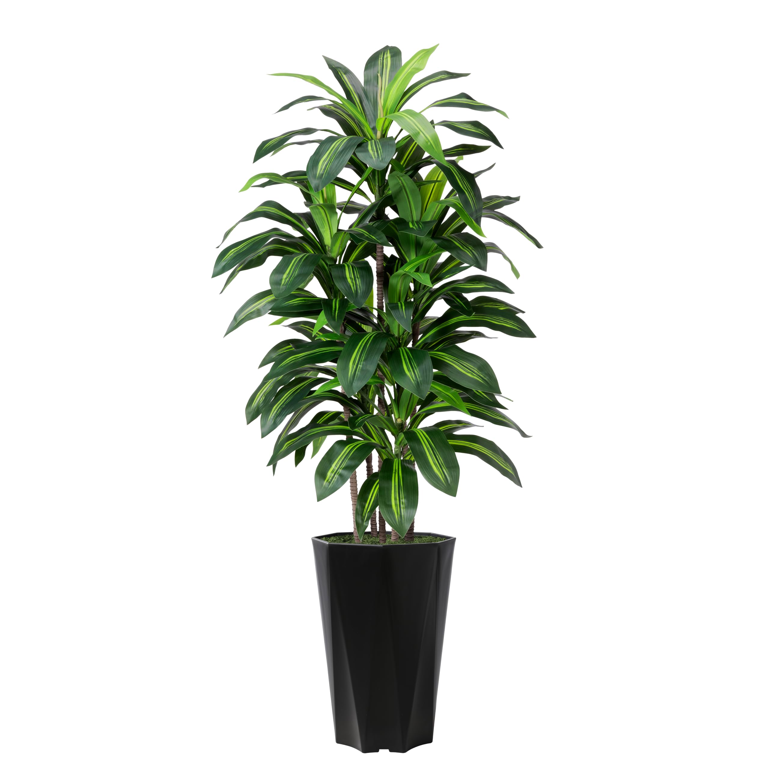 Black Diamond Dracaena Artificial Tree With Planter 5 Ft Indoor Decor
