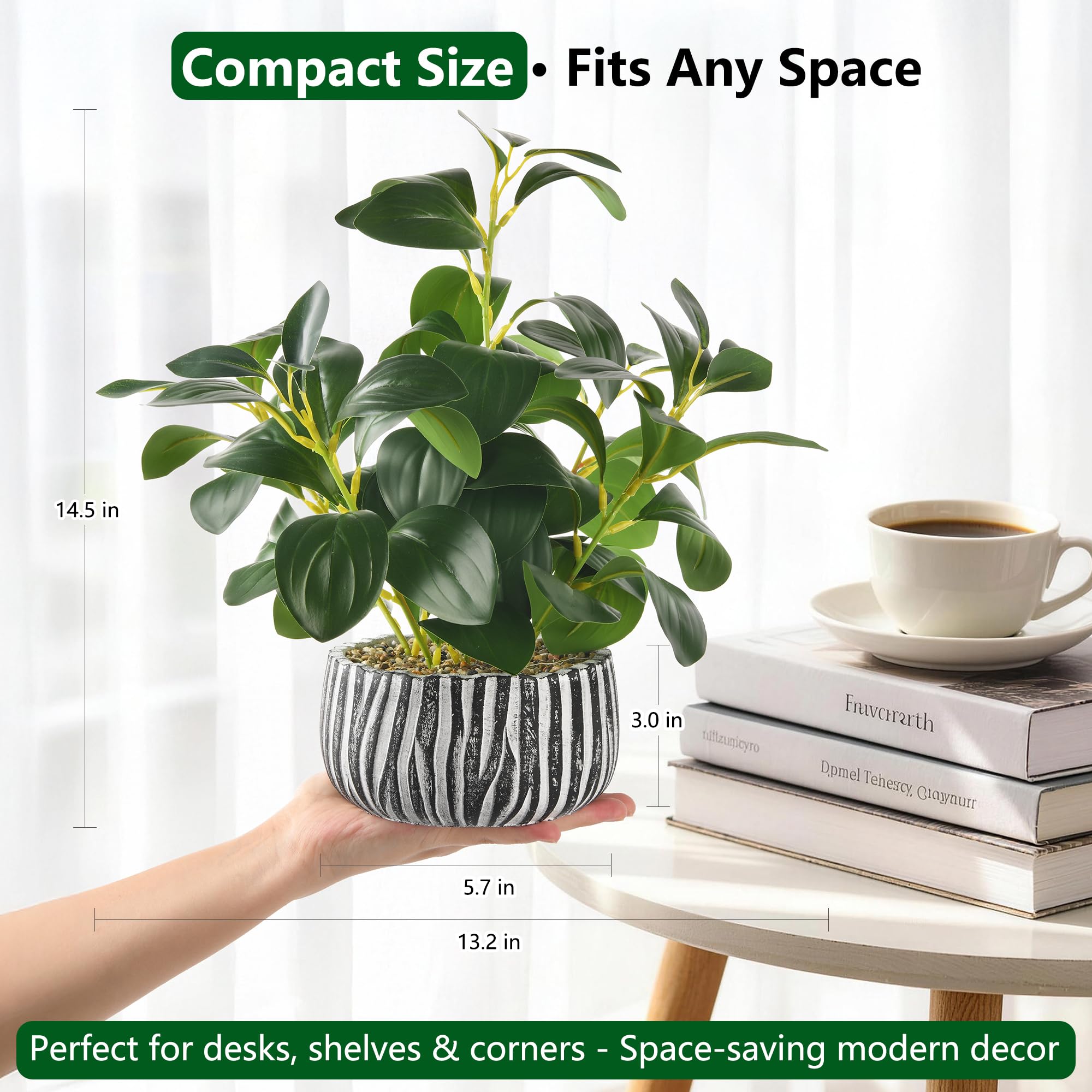 florisso Artificial Succulents Fig Leaf Decor in Black White Cement