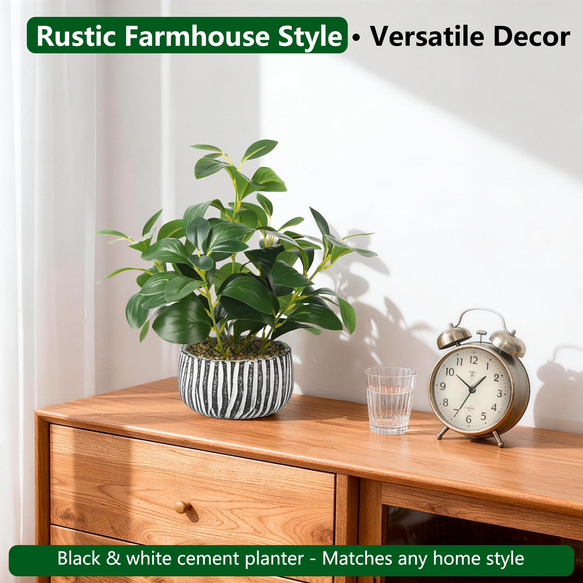 florisso Artificial Succulents Fig Leaf Decor in Black White Cement